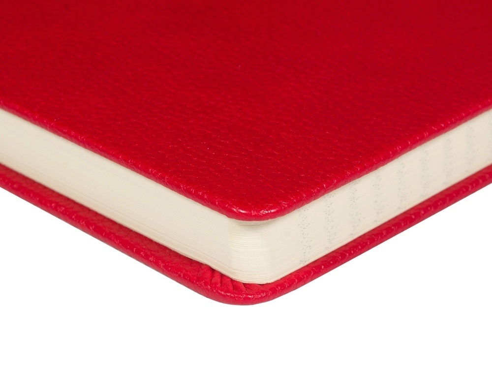 Ежедневник А5 датированный Megapolis Loft на 2026