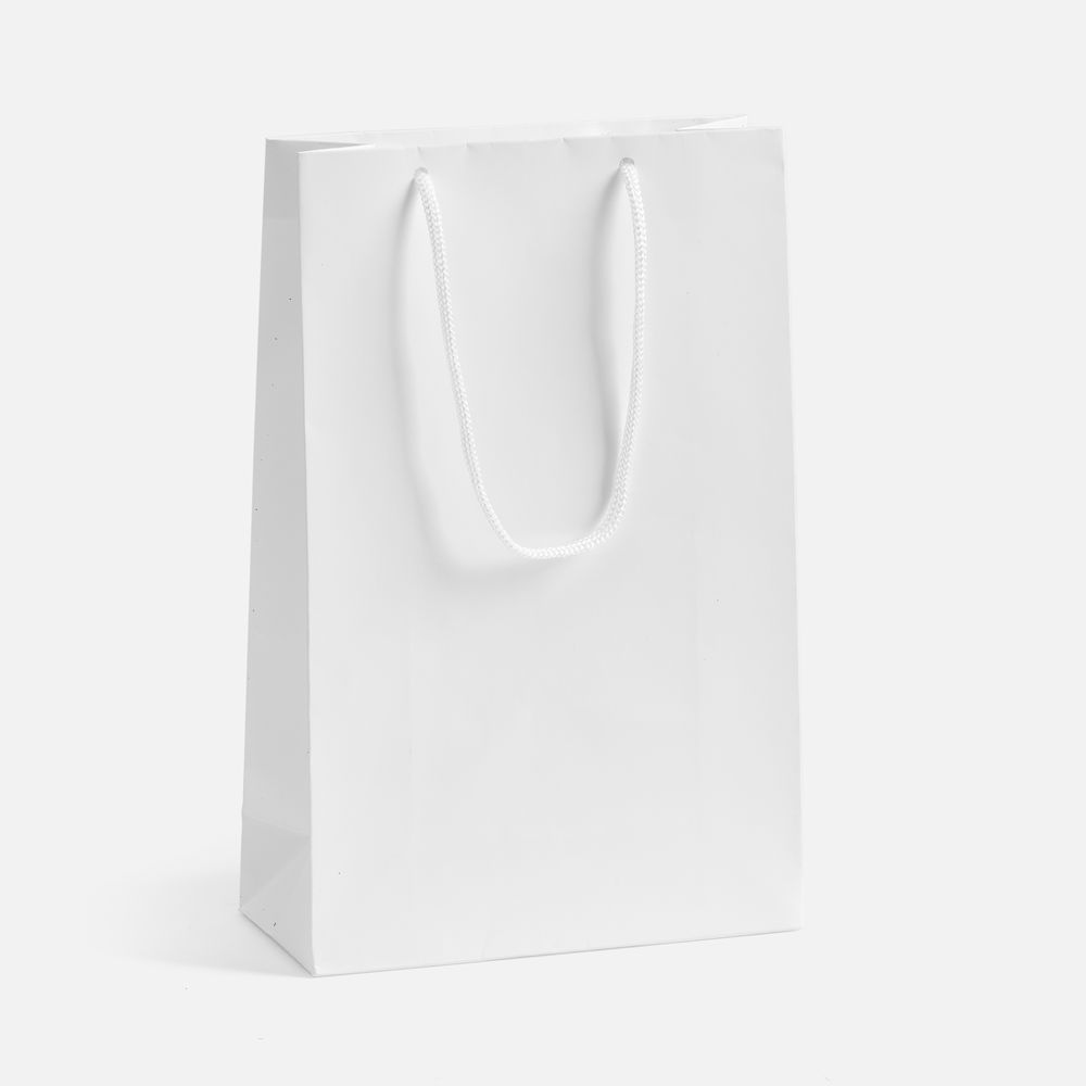 Пакет бумажный с ламинацией Lami S