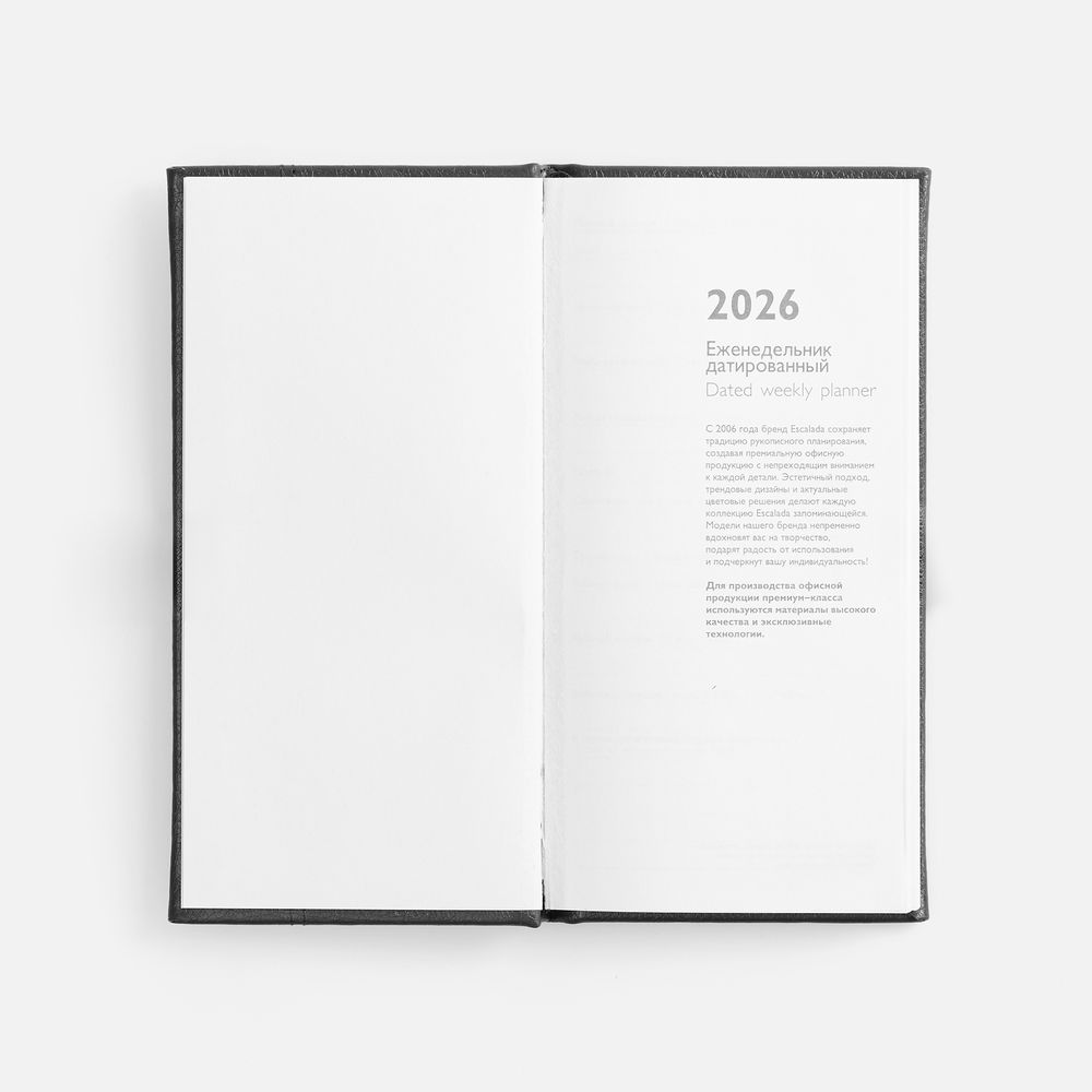 Еженедельник Baza, датированный