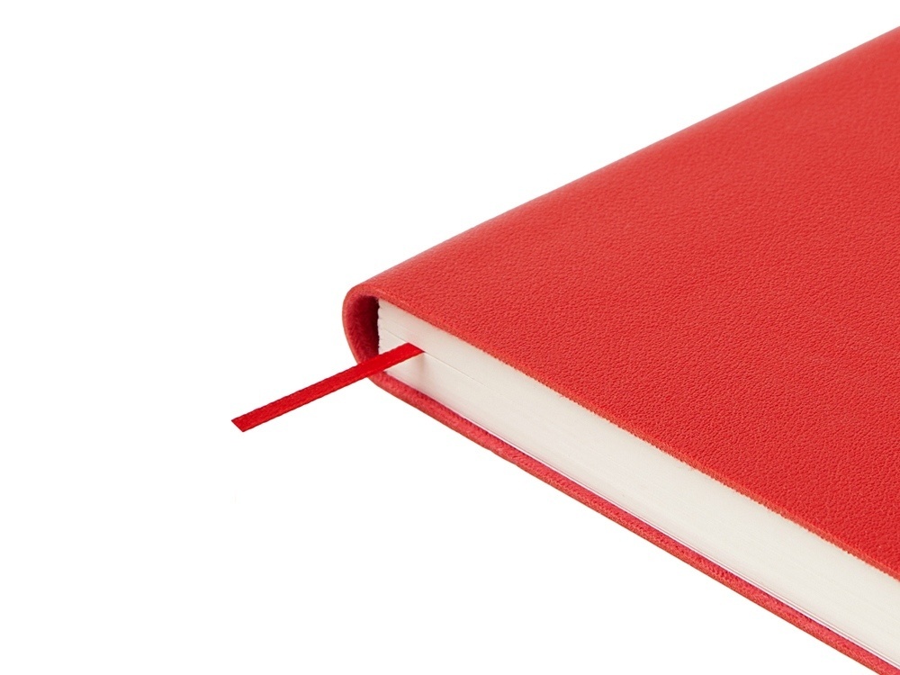 Ежедневник недатированный А5 Grand