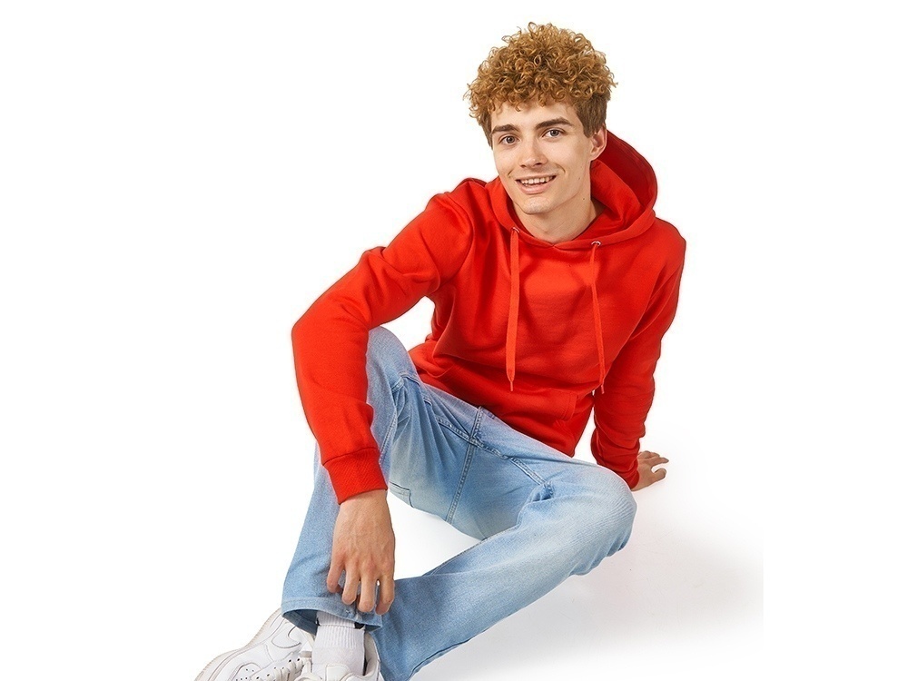 Толстовка с капюшоном Amsterdam мужская