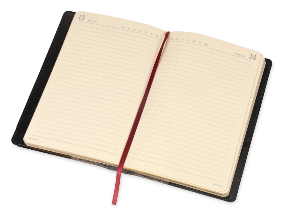 Ежедневник полудатированный портфолио А5 Profy