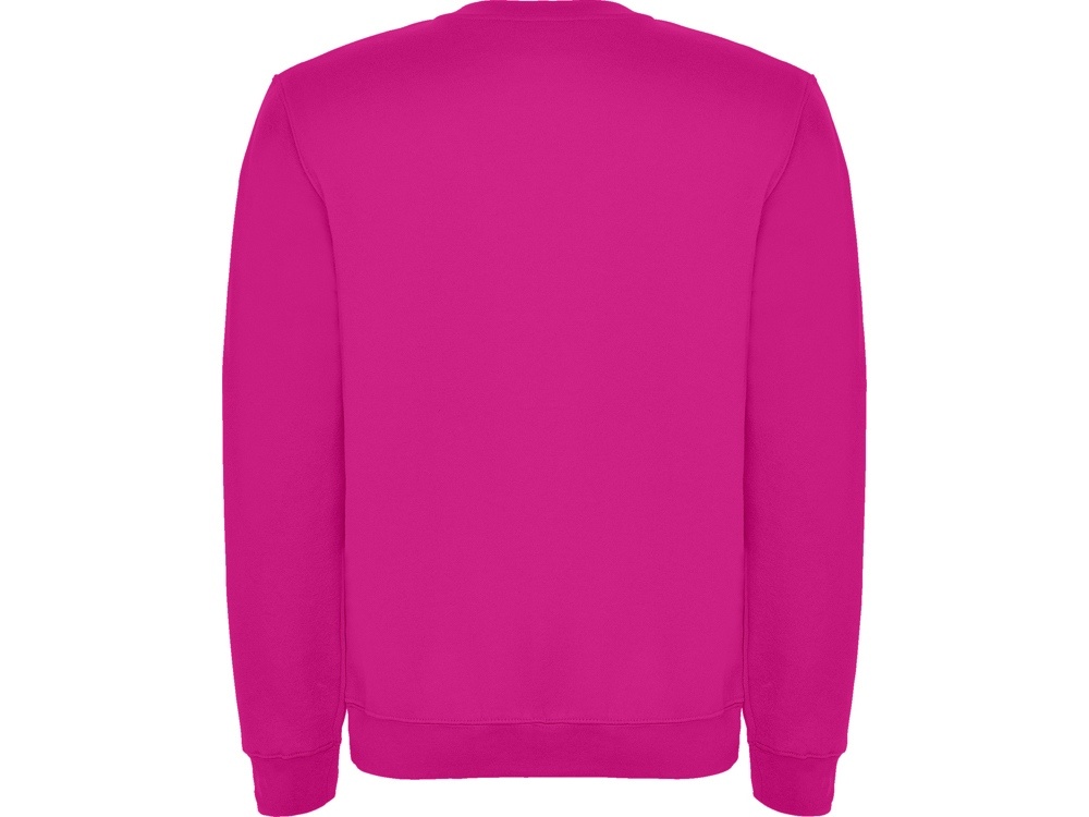 Свитшот с начесом Clasica унисекс