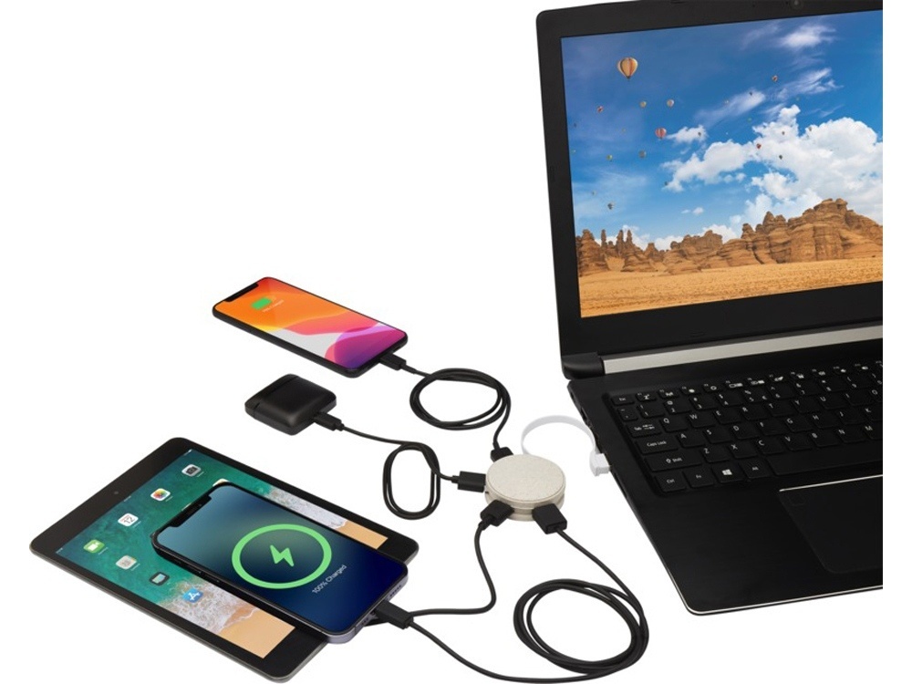 USB-концентратор Kenzu из пшеничной соломы