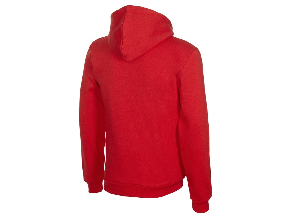 Толстовка с капюшоном Amsterdam мужская