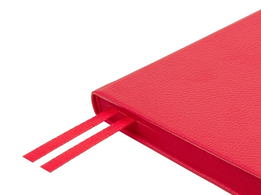 Ежедневник А5 датированный Megapolis Nappa на 2026