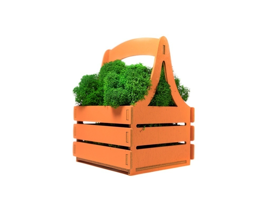 Композиция Корзинка со мхом