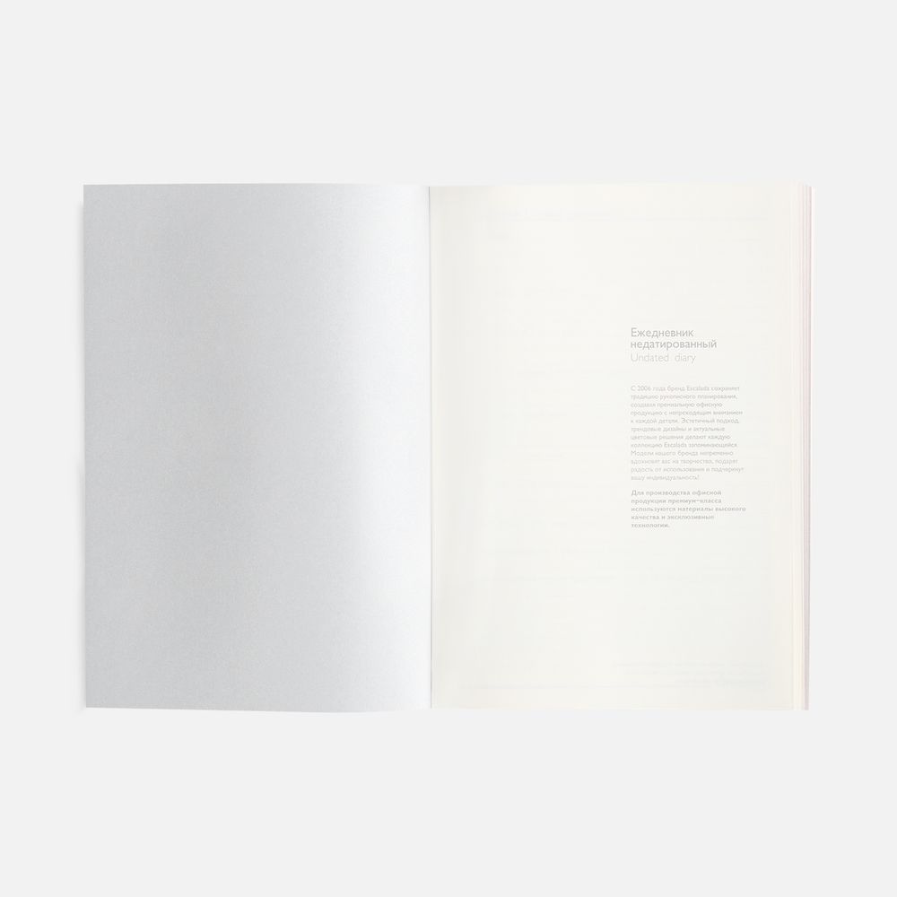Ежедневник Repute, недатированный