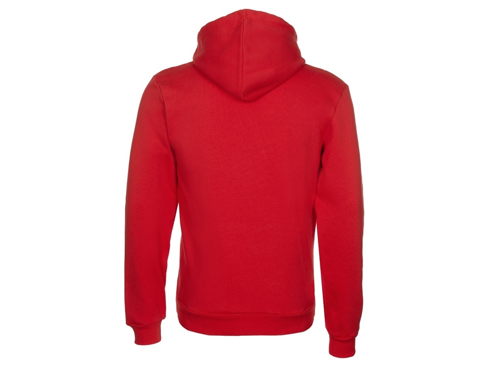 Толстовка с капюшоном Amsterdam мужская