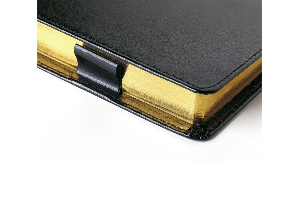 Ежедневник полудатированный портфолио А5 Profy