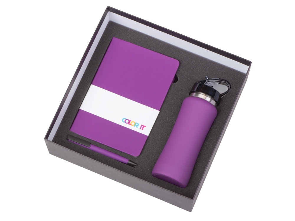 Подарочный набор c блокнотом C2, ручкой и бутылкой