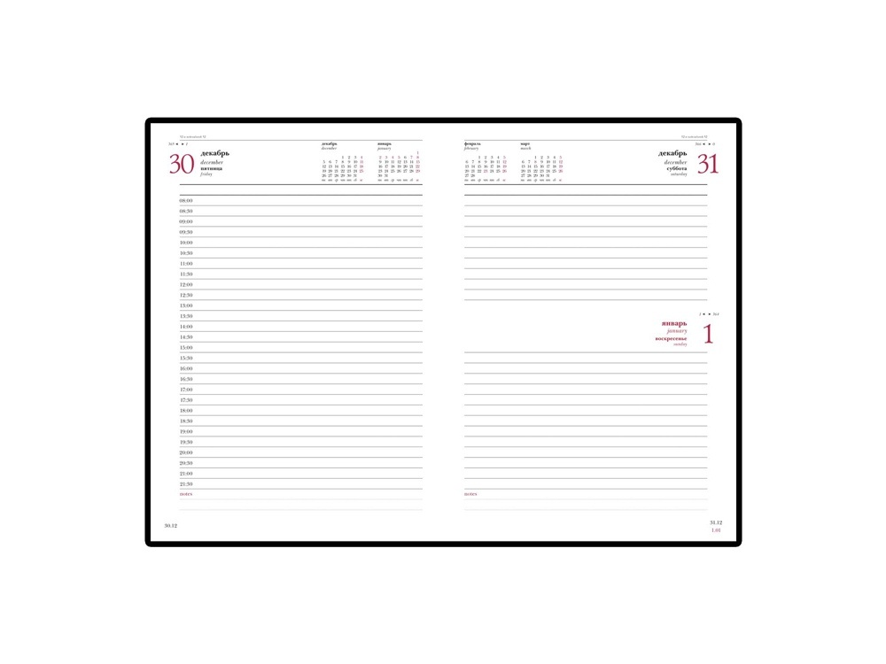 Ежедневник датированный А5 Ideal New на 2025 год