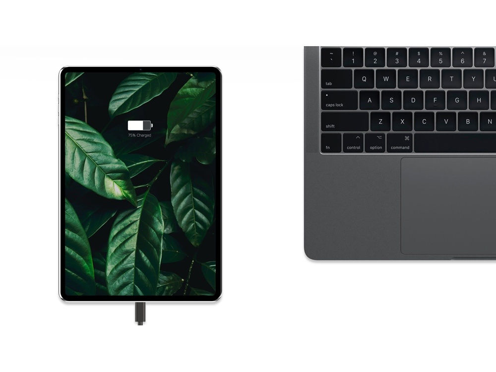 Сетевое зарядное устройство NEO Z Type-C 60