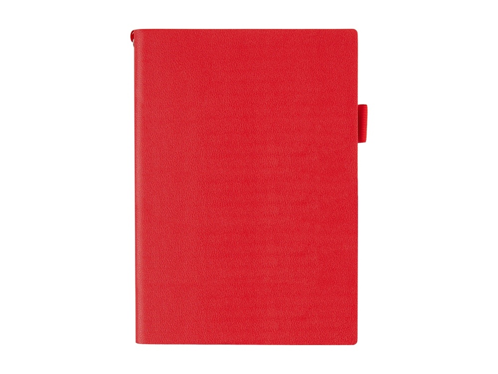 Ежедневник недатированный А5 Grand