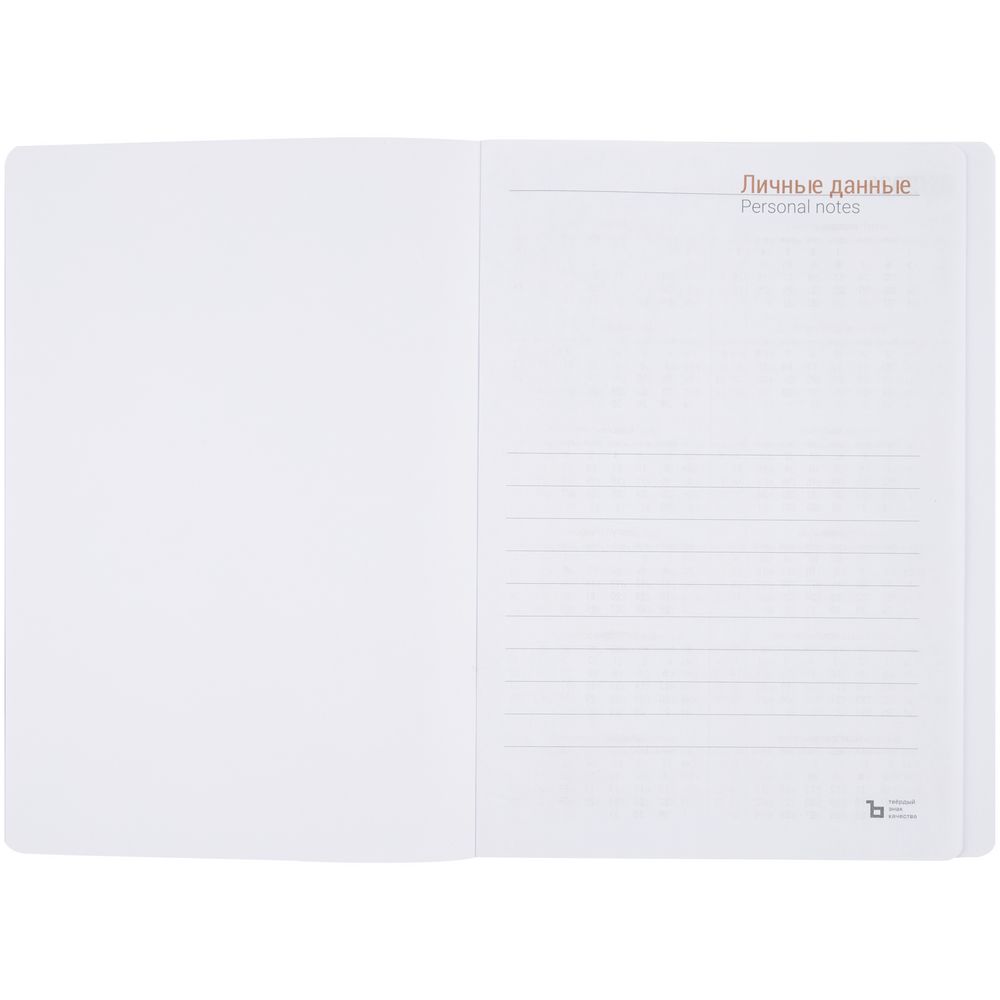 Ежедневник Basis, датированный