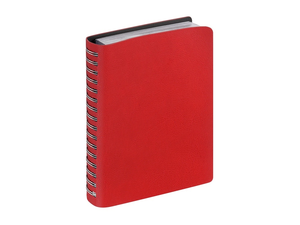 Ежедневник полудатированный А5 Orbit