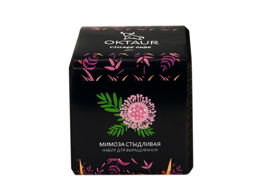 Набор для выращивания Small village cube Эхинокактус Альбинос