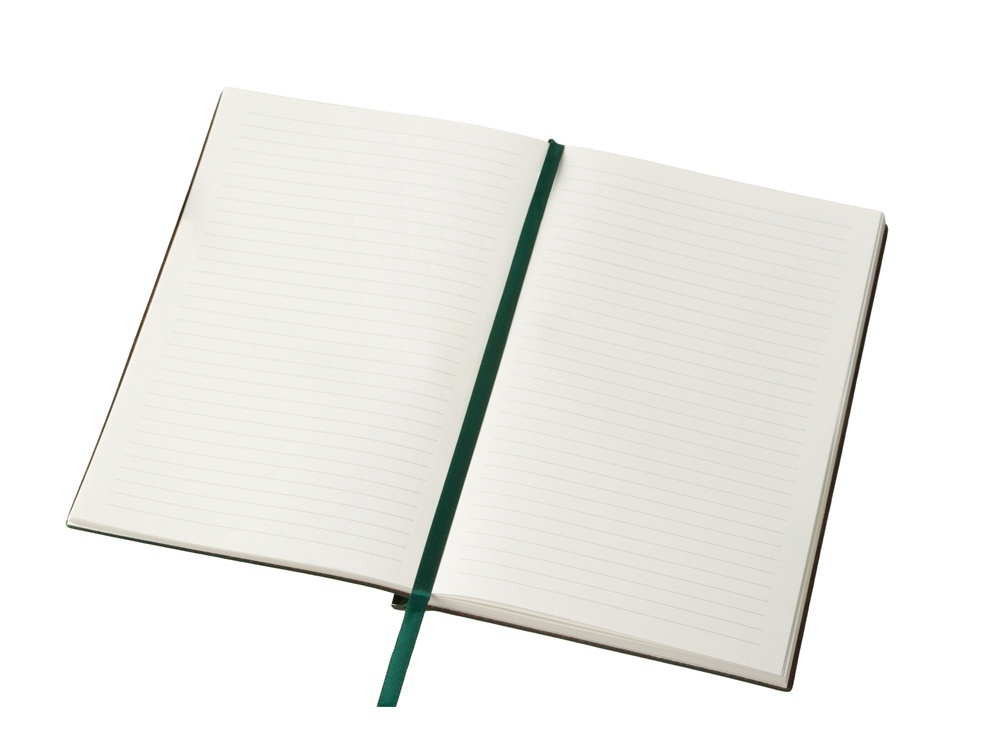 Блокнот А5 Scribe