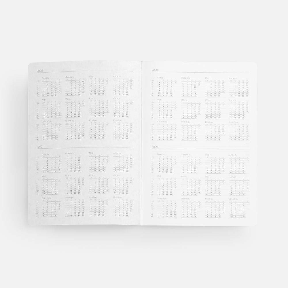 Ежедневник Nebraska Flex, недатированный