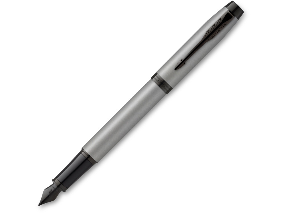 Ручка перьевая Parker IM Achromatic Matte Black BT