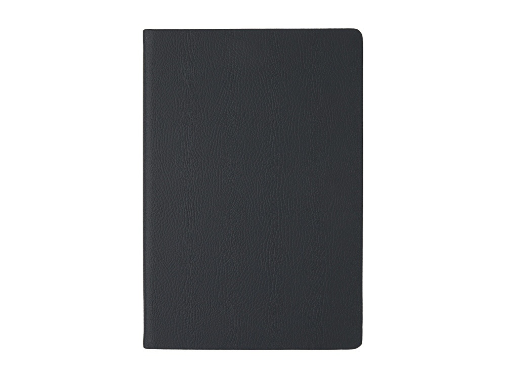 Ежедневник А5 датированный Megapolis Nappa на 2026