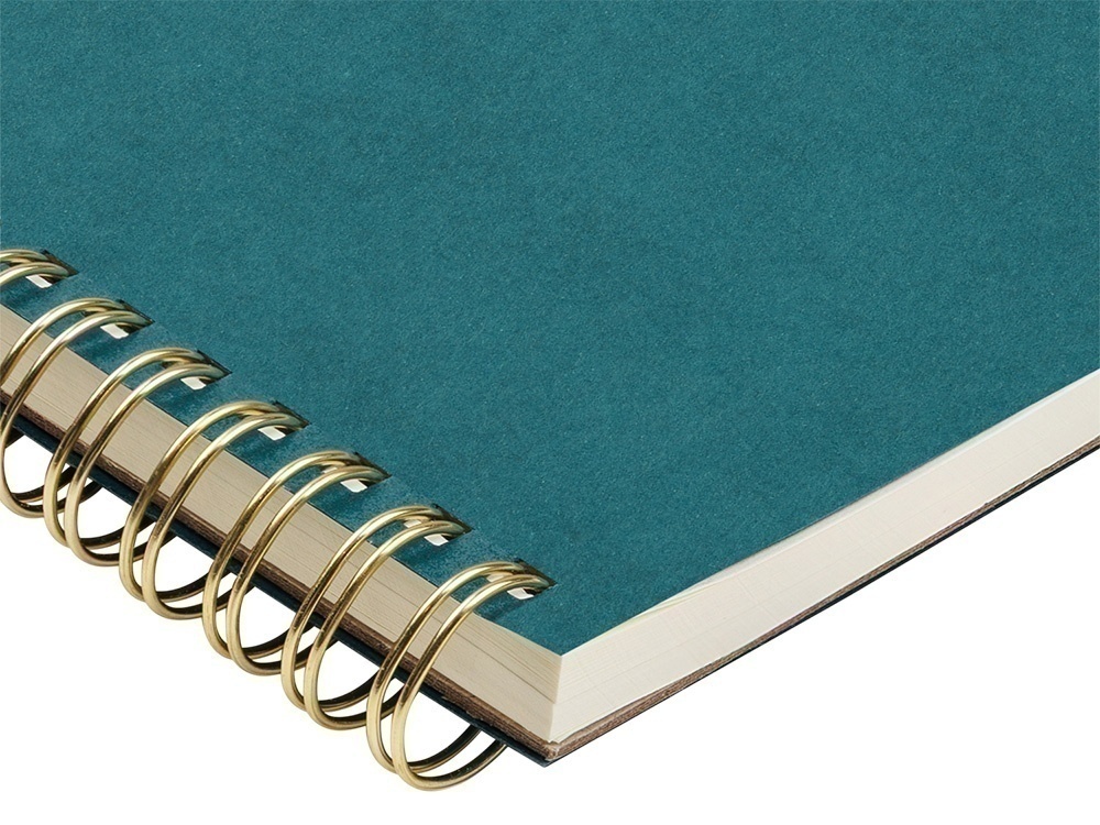 Бизнес тетрадь А5 Pragmatic