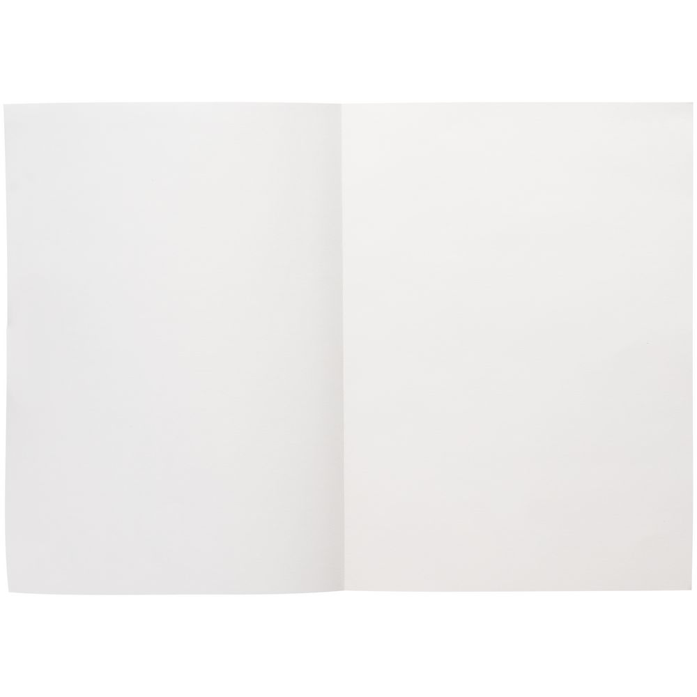 Ежедневник Flat Light, недатированный