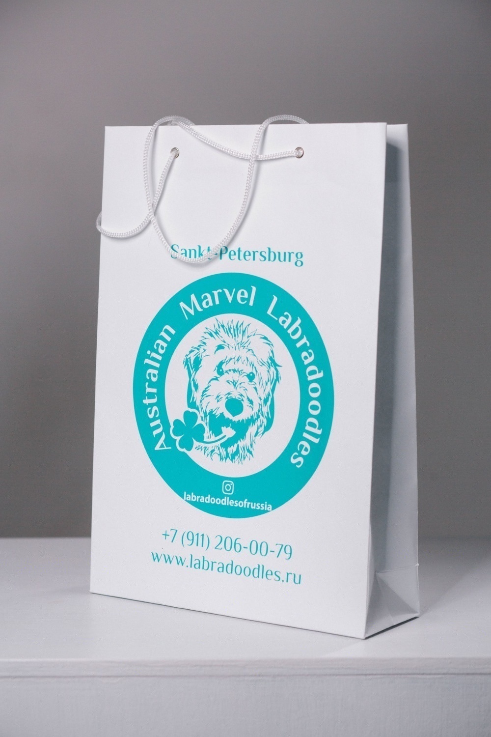 Бумажный пакет с люверсами 25х35х10 вертикальный