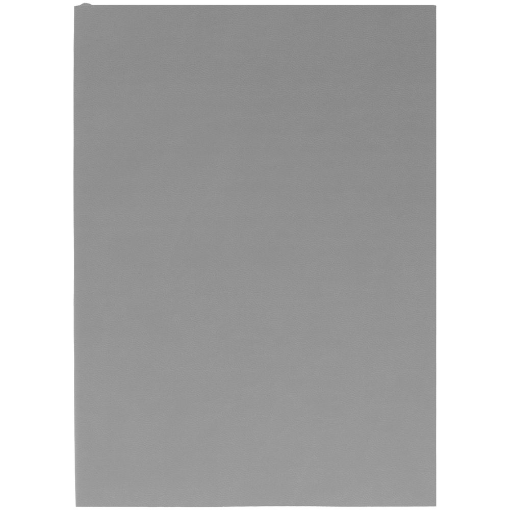 Ежедневник Flat, недатированный