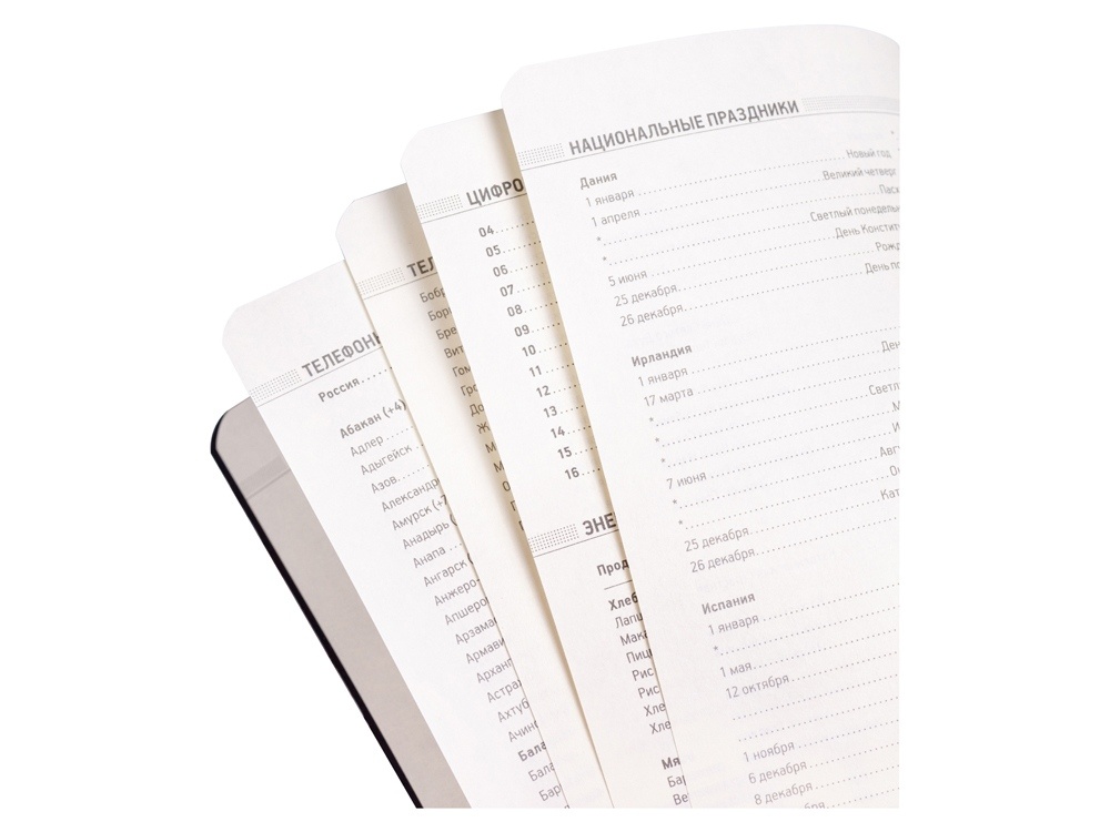 Ежедневник недатированный А5 Megapolis Velvet Flex