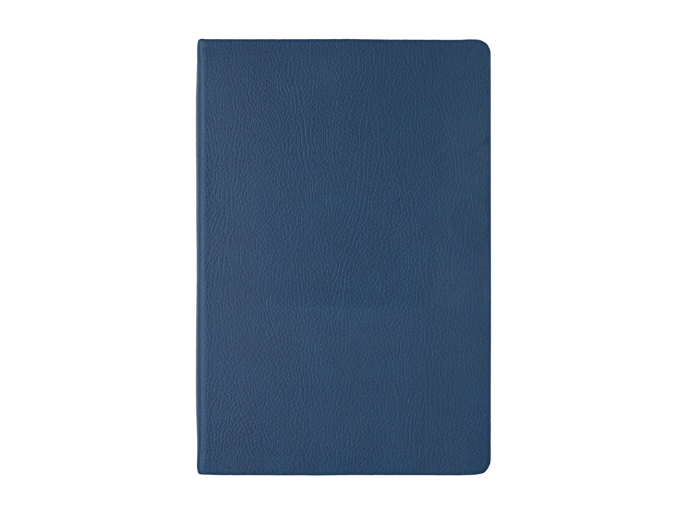 Ежедневник А5 датированный Megapolis Nappa на 2026