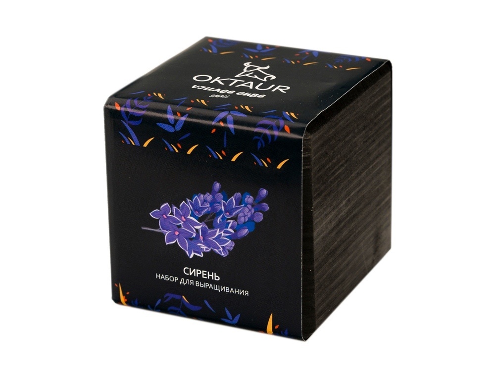 Набор для выращивания Small village cube Эхинокактус Альбинос