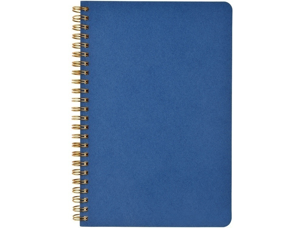 Бизнес тетрадь А5 Pragmatic