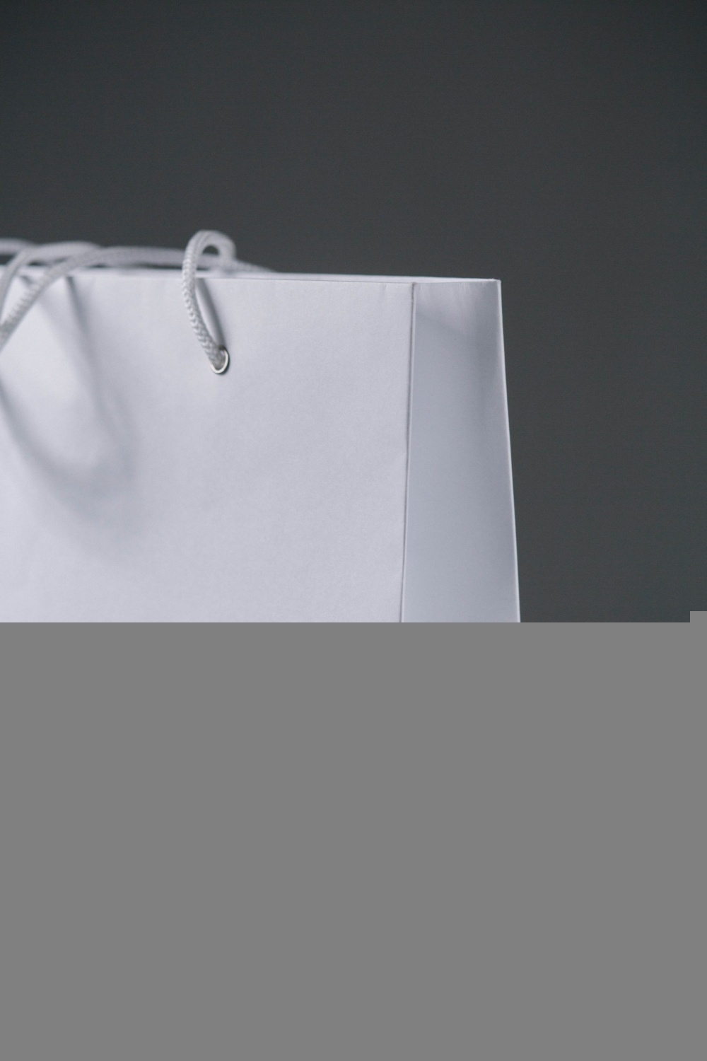 Бумажный пакет с люверсами 30*20*10 горизонтальный