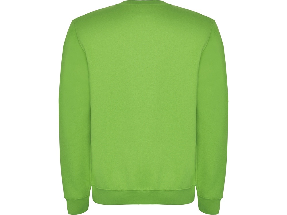 Свитшот с начесом Clasica унисекс