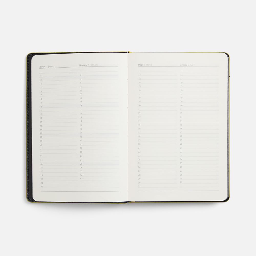 Ежедневник Alanis, недатированный