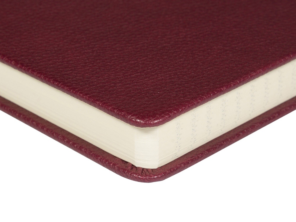 Ежедневник А5 датированный Megapolis Loft на 2026