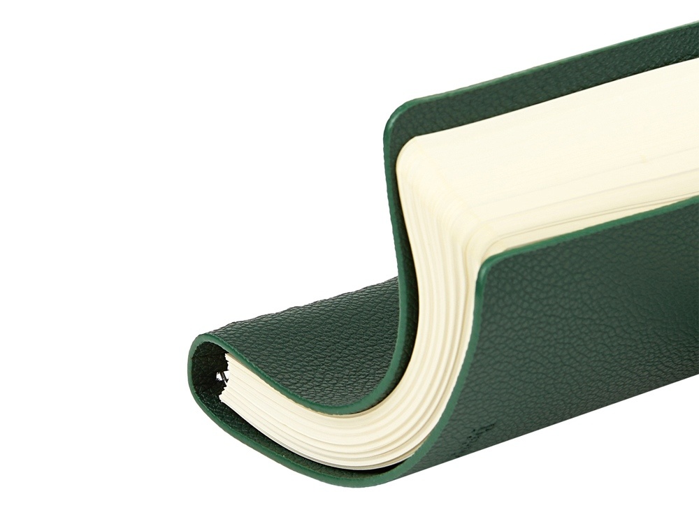 Ежедневник недатированный А5 Alba