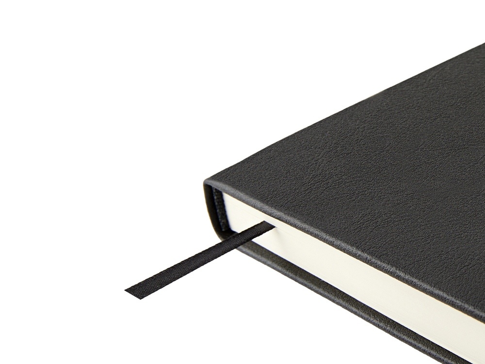 Ежедневник недатированный А5 Status