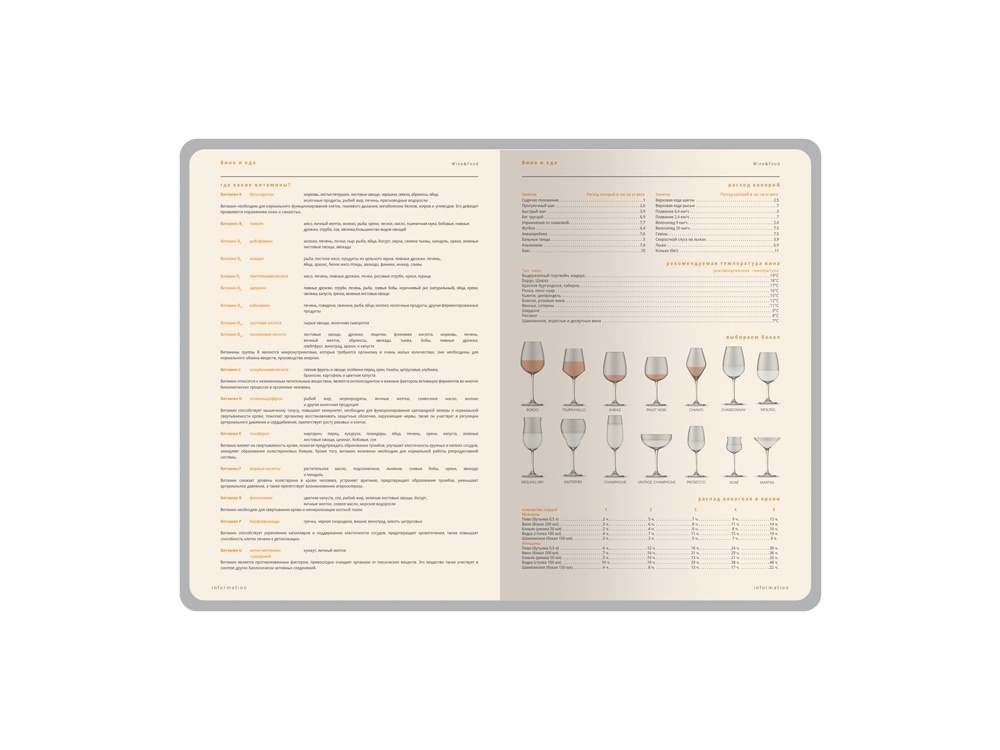 Ежедневник А5 датированный Boston на 2026 год