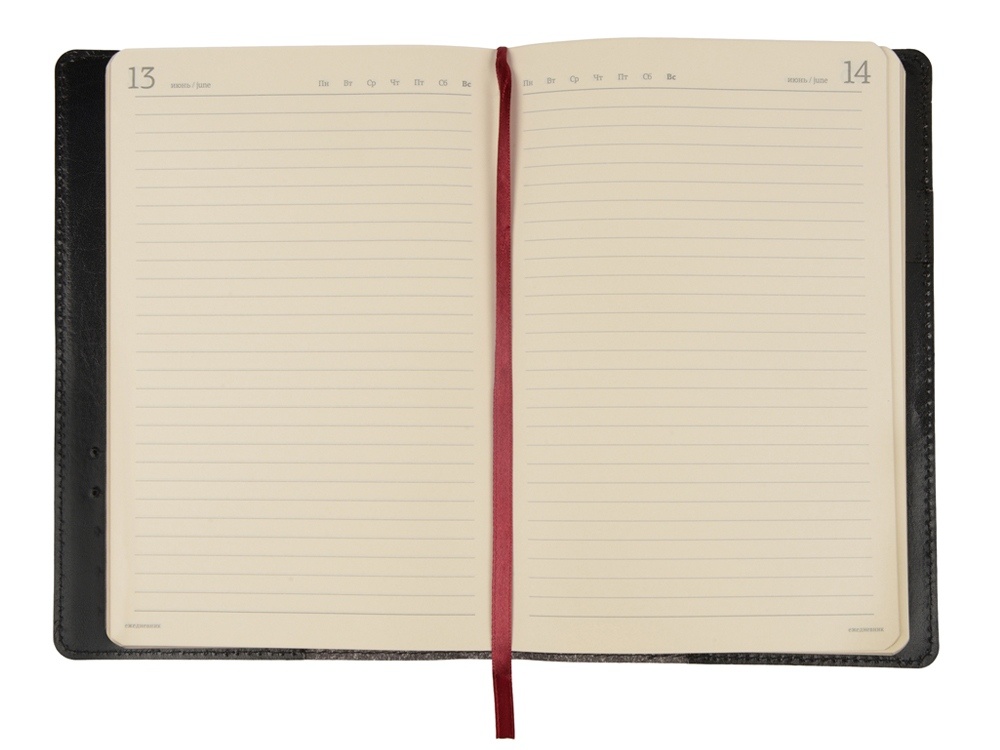 Ежедневник полудатированный портфолио А5 Profy