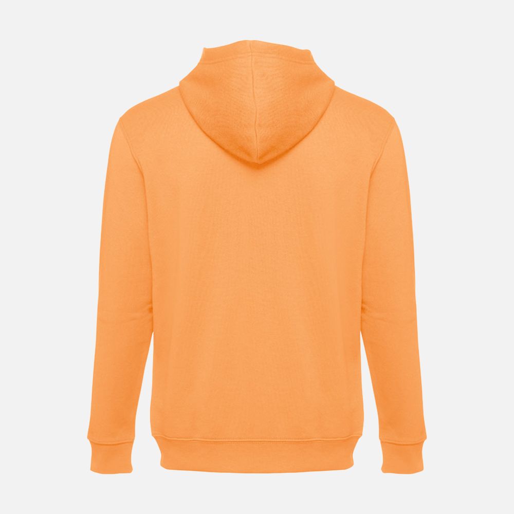 Толстовка мужская на молнии с капюшоном Amsterdam