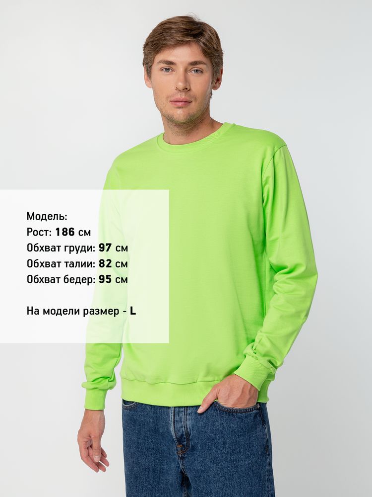 Толстовка Toima