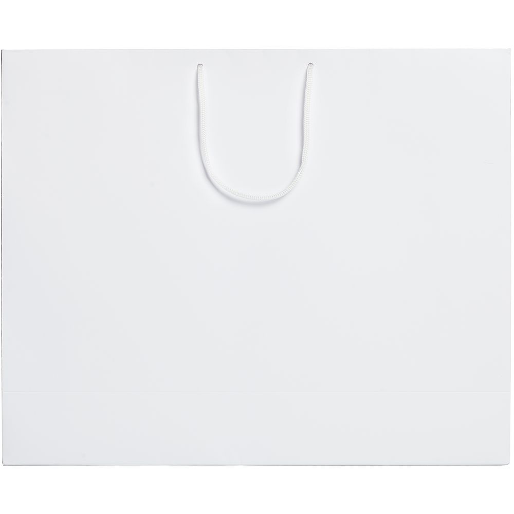 Пакет бумажный Ample Plus L