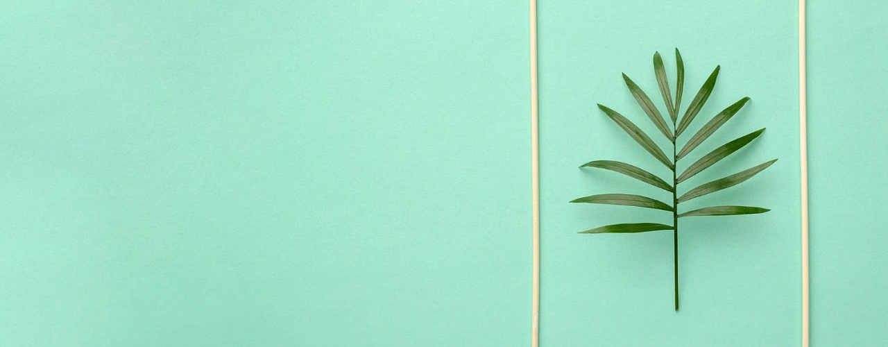 Минимализм vs сложный дизайн: какой логотип лучше работает?