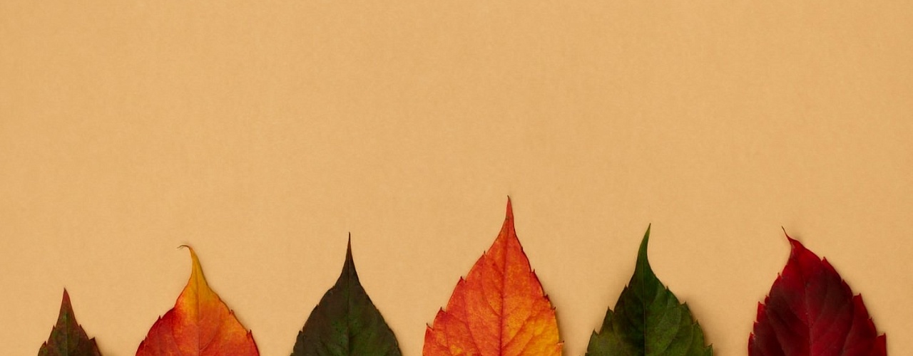 Психология логотипа: как форма и цвет влияют на эмоции клиентов?